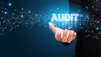 Audits as a project management governance tool | PMWorld 360 Magazine
